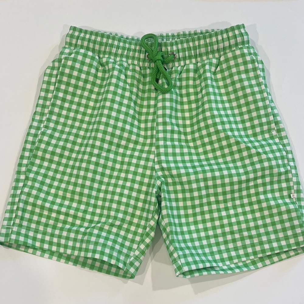 Sweet Honey Boys Green Gingham Swim Trunks